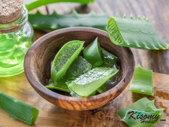 بهترین روش بسته بندی آلوئه ورا