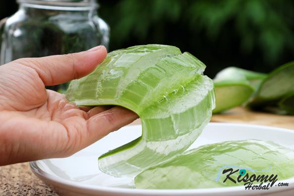 مرکز پخش برگه آلوئه ورا گوشتی