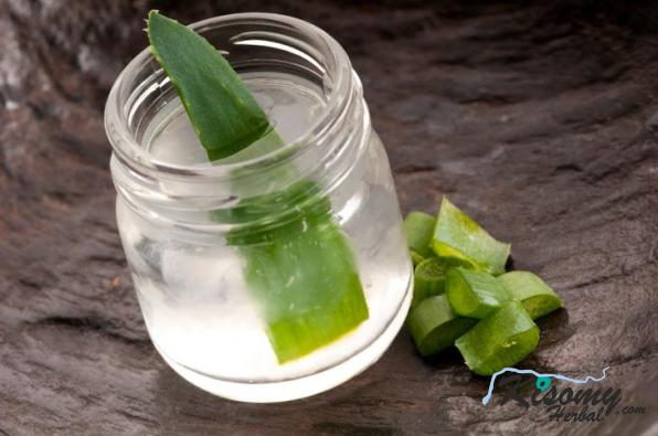 تهیه برگ آلوئه ورا خوراکی