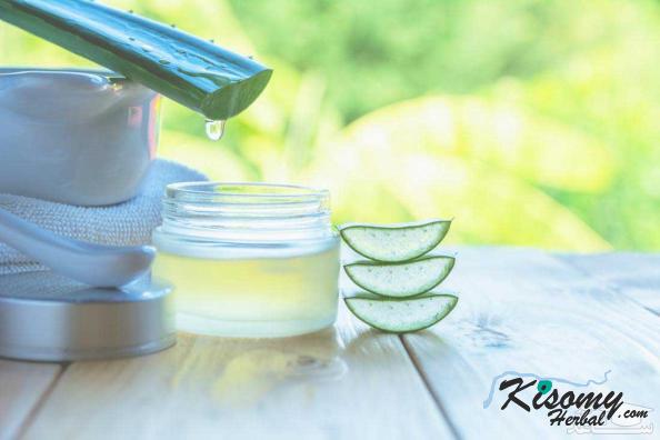 تولید کنندگان ژل آلوئه ورا درجه یک
