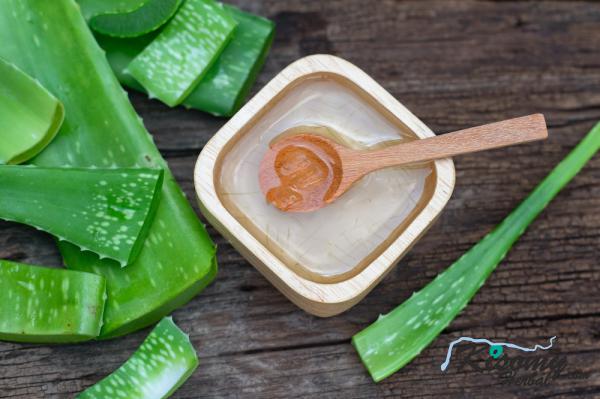 قیمت روز ژل آلوئه ورا درجه یک