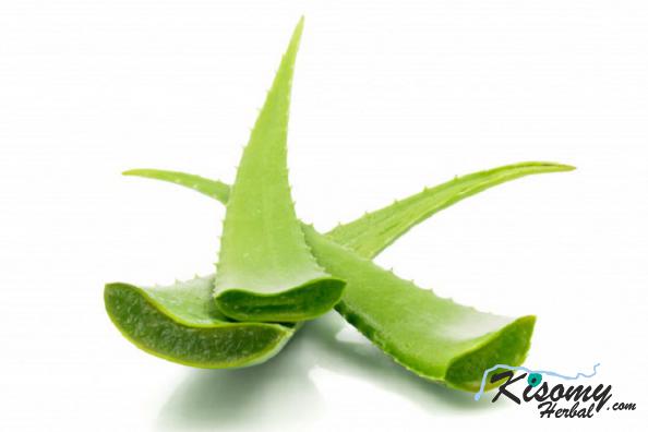 تولیدکنندگان برگه آلوئه ورا ارزان پوستی