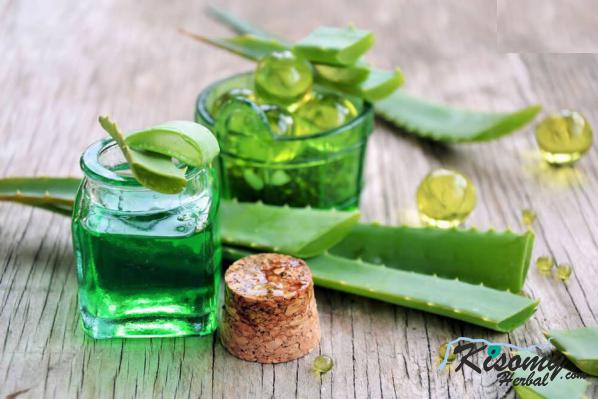 مرکز پخش ژل آلوئه ورا روان کننده