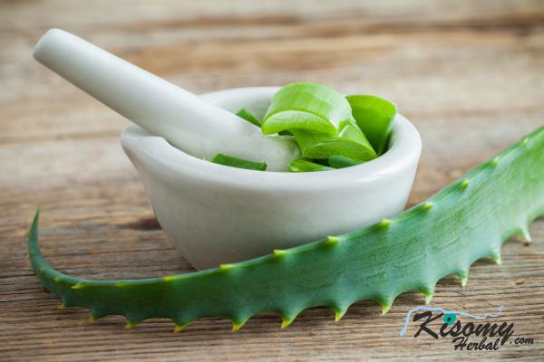 فروس عمده ژل آلوئه ورا روان کننده