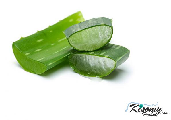 مزایای مصرف برگ آلوئه ورا خوراکی