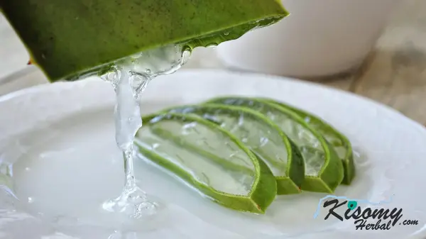 مشخصات انواع ژل آلوئه ورا طبیعی