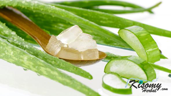 فروشنده عمده ژل آلوئه ورا اصل