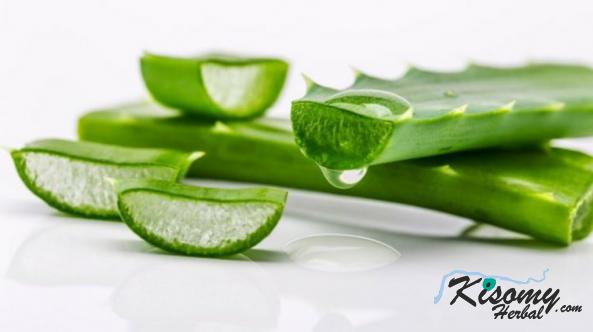 مرکز انواع ژل آلوئه ورا ۹۹ درصد