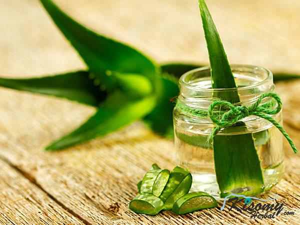 تولیدکننده ژل آلوئه ورا ضد چروک