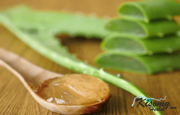 فرآیند تولید ژل آلوئه ورا خوراکی