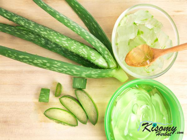 بررسی کیفی انواع ژل آلوئه ورا