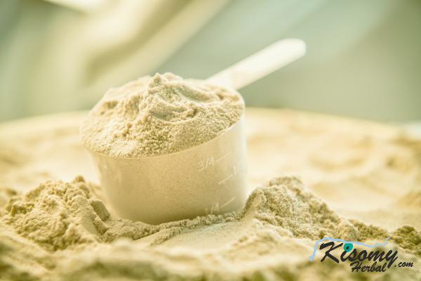 تولیدکننده پودر آلوئه ورا مرغوب