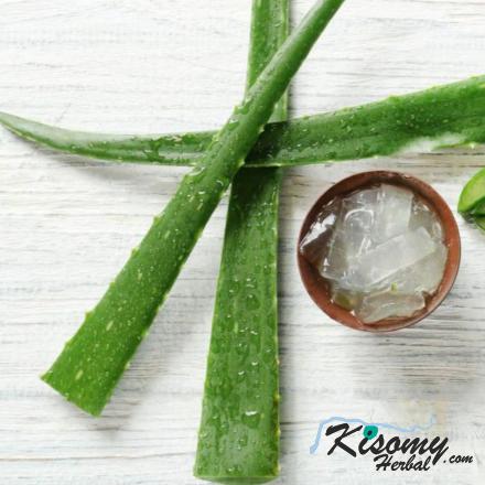 مراکز خرید ژل آلوئه ورا عمده