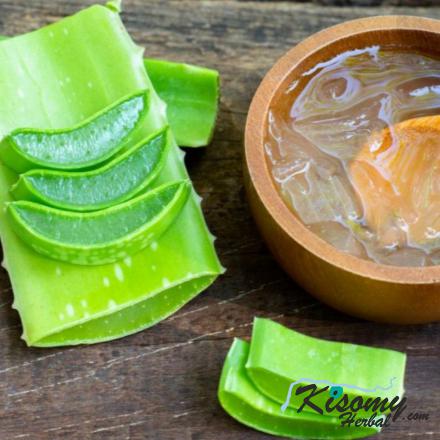 موارد مصرف ژل آلوئه ورا