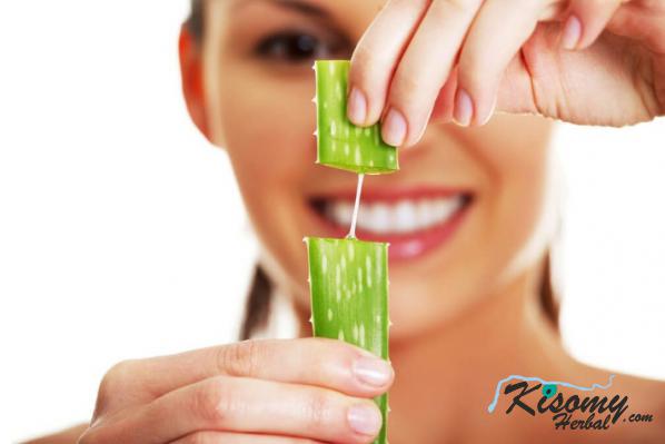 فروش انواع ژل آلوئه ورا ۹۹ درصد