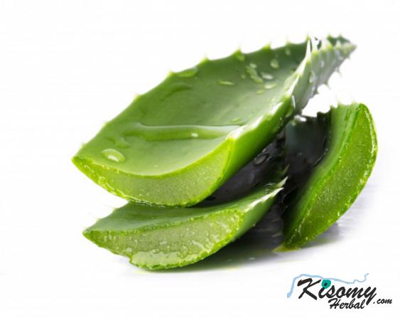 خواص آلوئه ورا برای مو