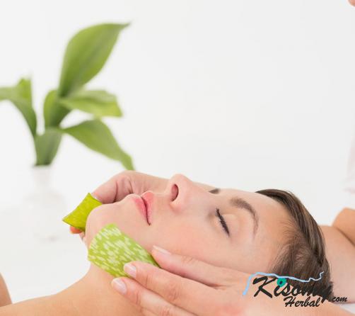 تاثیر گیاه آلوئه ورا بر زیبایی پوست
